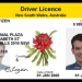 New rules for foreign licence holders in NSW