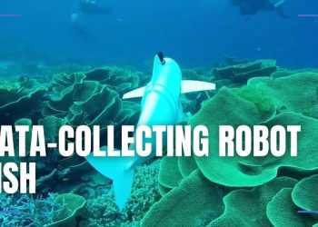 This Robot Fish Collects Ocean Data
