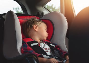 Summer heat cause for kids/pets lock-in warning: RAC