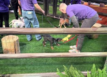 QOTD: What Auto-Show Side Activity Do You Enjoy?