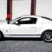 AutoHunter Spotlight: 2008 Ford Mustang Shelby GT500 Coupe
